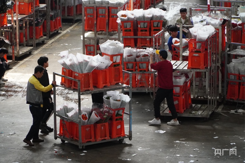 【高质量发展看中国】云南：“美丽”经济绽放 生活像花儿一样美(图4)