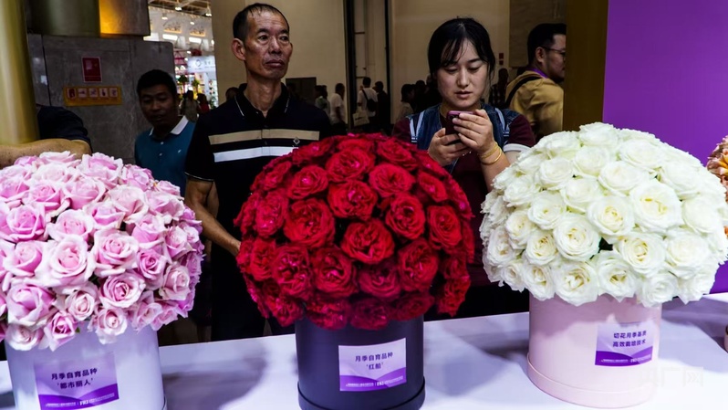 【高质量发展看中国】云南：“美丽”经济绽放 生活像花儿一样美(图5)