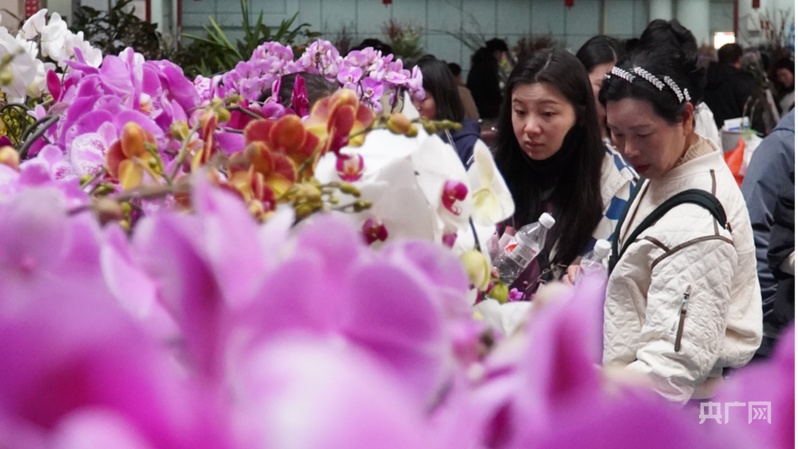 【高质量发展看中国】云南：“美丽”经济绽放 生活像花儿一样美(图6)