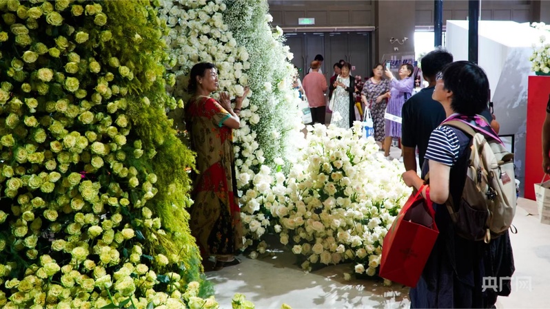 【高质量发展看中国】云南：“美丽”经济绽放 生活像花儿一样美(图7)