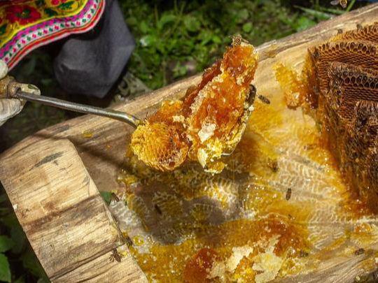 过年送礼新选择四款实用又有面子的佳品推荐！(图2)