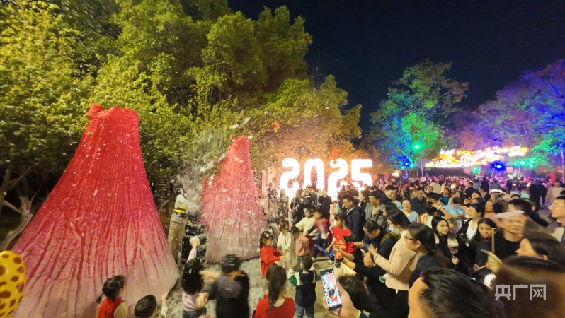 九组华灯喜闹元宵 2025黄埔首届花灯会点亮新春(图4)