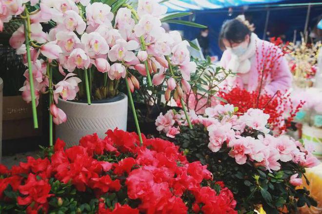 除夕家里再省钱也要在客厅放上这四样日子越过越顺(图3)