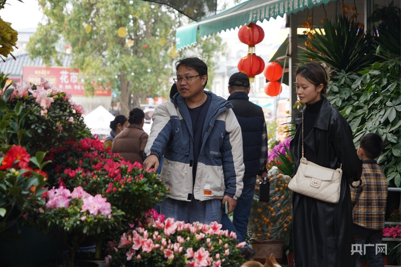 2025南宁迎春花市开市 姹紫嫣红迎新春(图2)