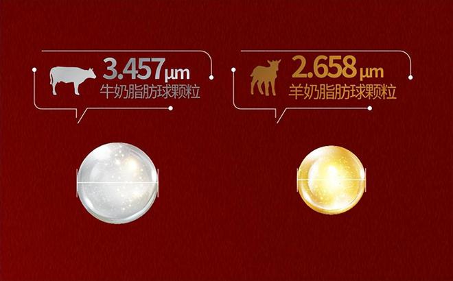 新年将至 送礼有方美力源这份指南让你的年礼送的恰到好处(图3)