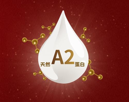 新年将至 送礼有方美力源这份指南让你的年礼送的恰到好处(图6)