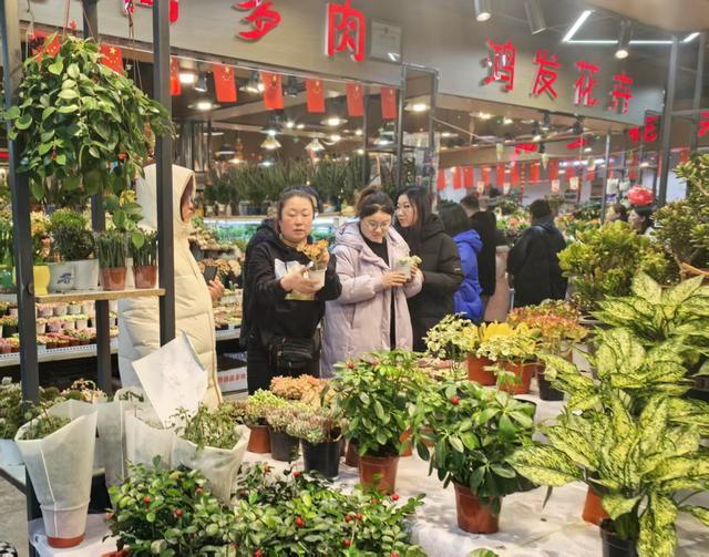 新春走基层｜“花样”新春(图7)
