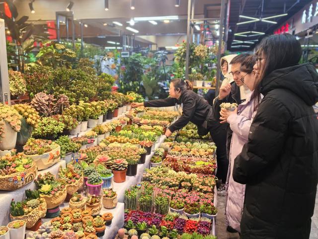 新春走基层｜“花样”新春(图10)