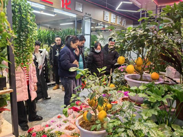 新春走基层｜“花样”新春(图9)