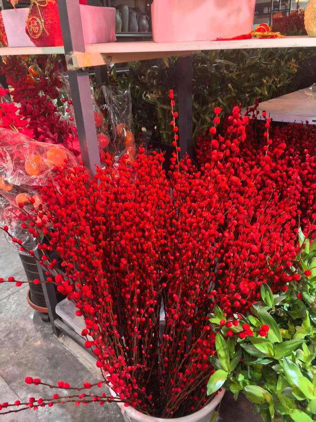 新春走基层｜“花样”新春(图11)