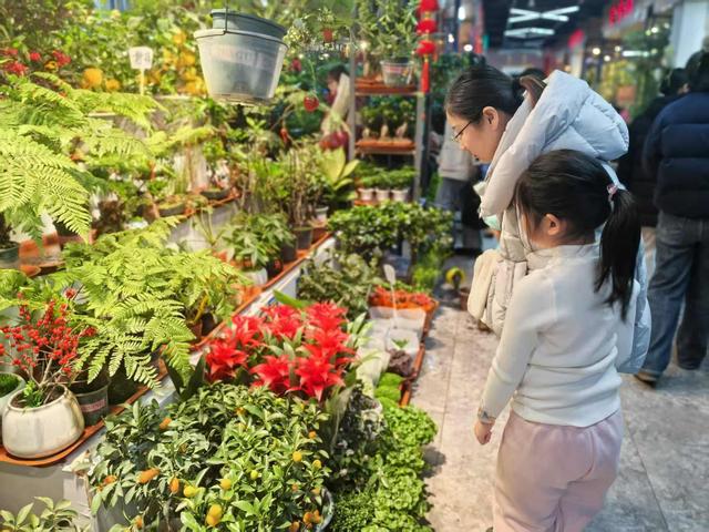 新春走基层｜“花样”新春(图12)