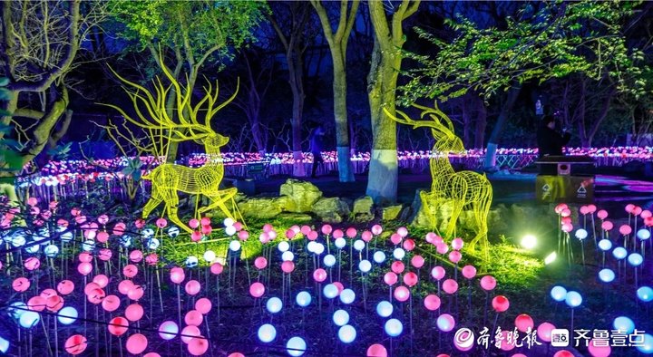 “泉”在济南过大年 扮靓公园齐贺岁氛围拉满迎新春(图4)