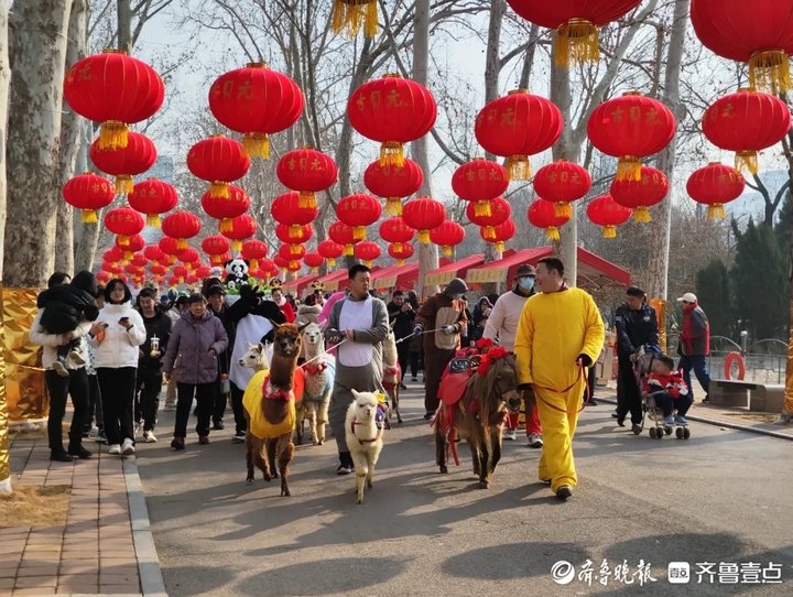 “泉”在济南过大年 扮靓公园齐贺岁氛围拉满迎新春(图7)