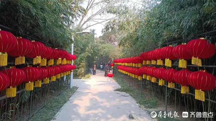 “泉”在济南过大年 扮靓公园齐贺岁氛围拉满迎新春(图8)
