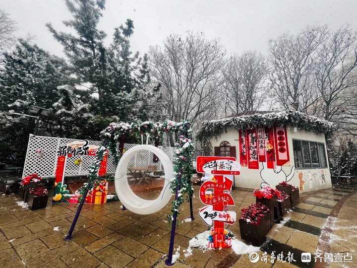 “泉”在济南过大年 扮靓公园齐贺岁氛围拉满迎新春(图13)