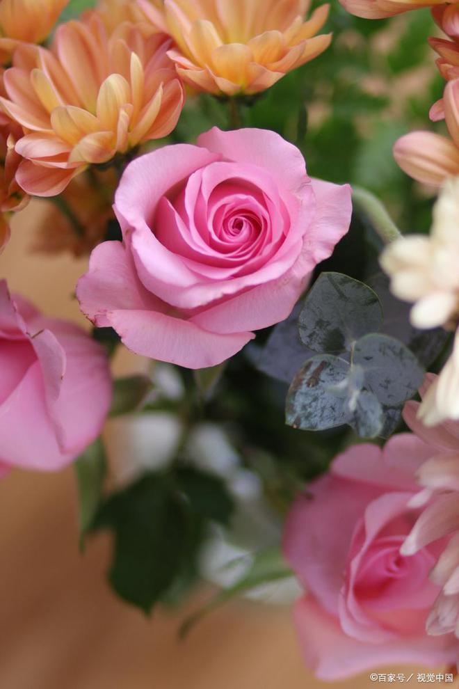 春节送礼指南：五款贴心高雅礼物推荐给长辈(图6)