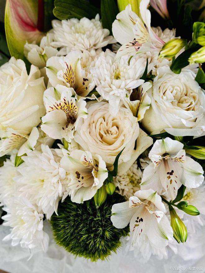 五款适合新春佳节的长辈礼物推荐(图5)