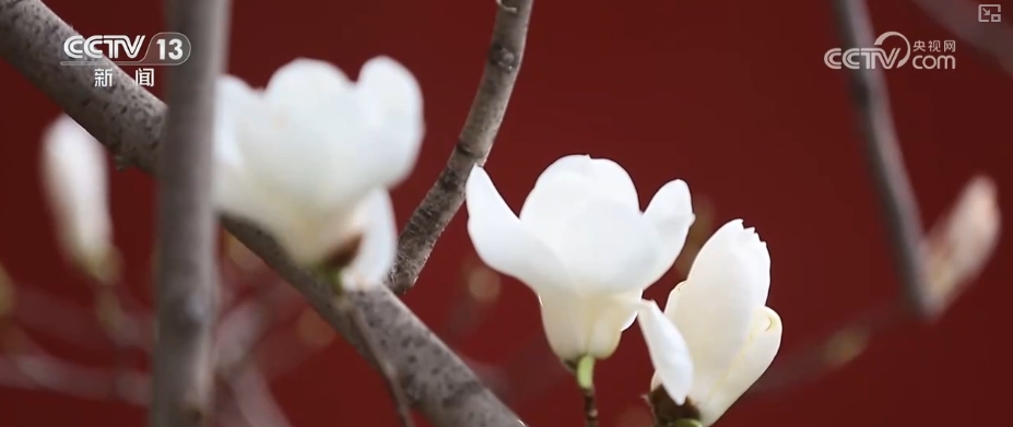 因地制宜、因时制宜创新文化消费 “文创+”将“流量”变“留量”(图2)