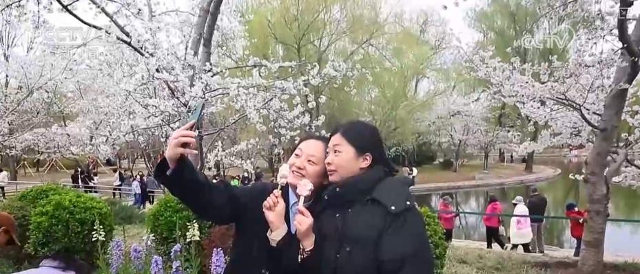 因地制宜、因时制宜创新文化消费 “文创+”将“流量”变“留量”(图6)