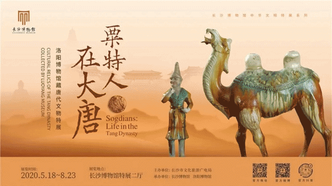 游学中亚（539-69）｜从亚历山大到帖木儿回到粟特故里解构欧亚之心(图7)