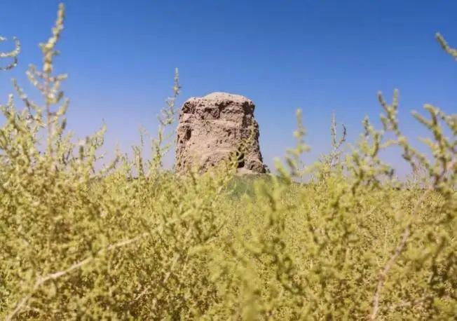 游学中亚（539-69）｜从亚历山大到帖木儿回到粟特故里解构欧亚之心(图20)