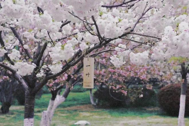 给生活一点盼头北京monthly不无聊指南(图9)