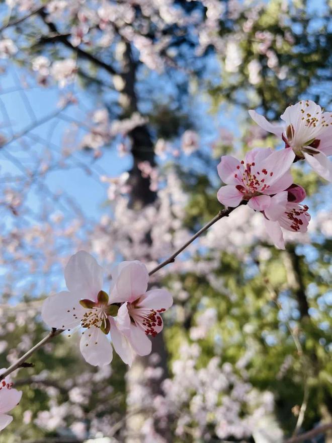 给生活一点盼头北京monthly不无聊指南(图10)