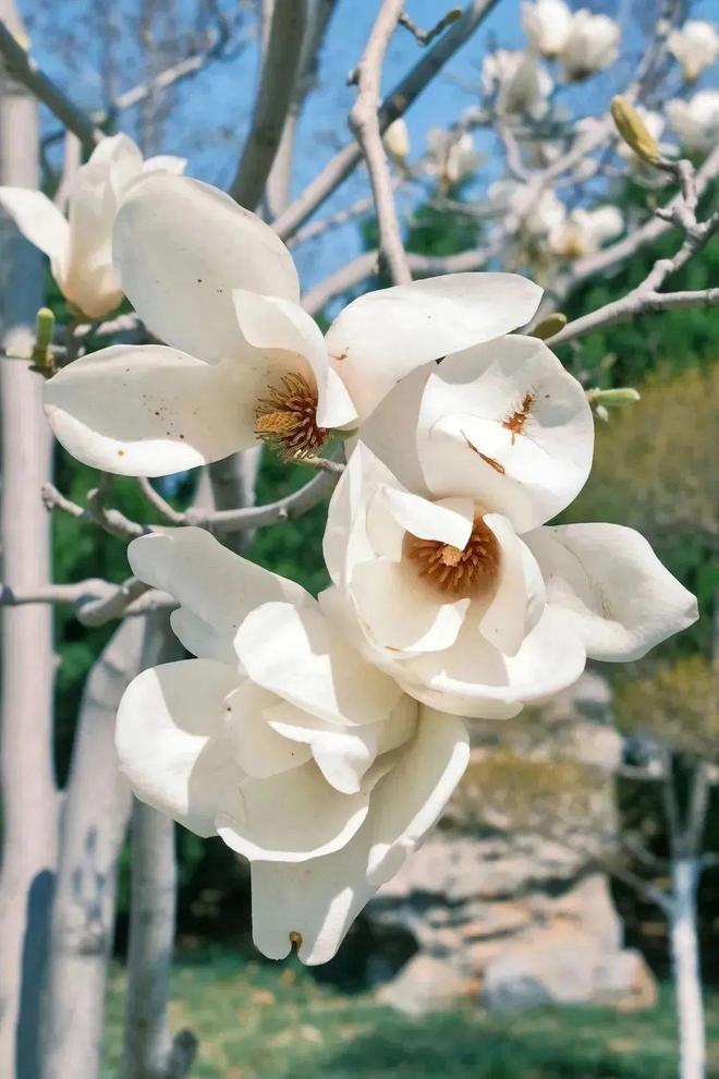 给生活一点盼头北京monthly不无聊指南(图12)