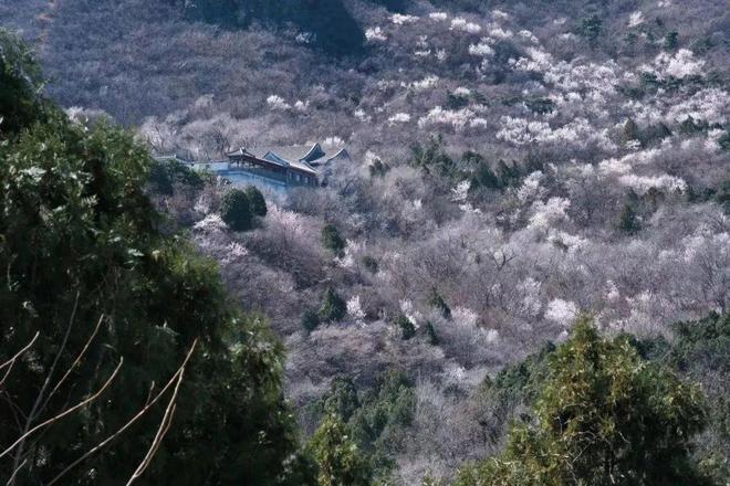 给生活一点盼头北京monthly不无聊指南(图13)