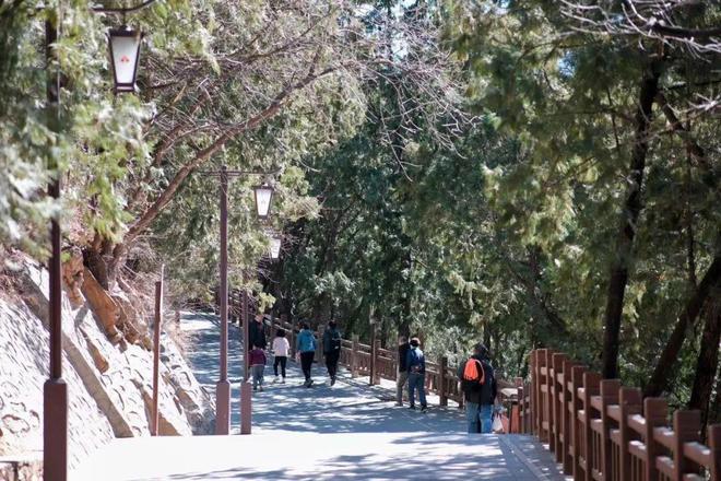 给生活一点盼头北京monthly不无聊指南(图14)