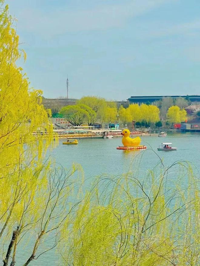 给生活一点盼头北京monthly不无聊指南(图15)