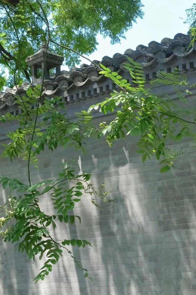 给生活一点盼头北京monthly不无聊指南(图18)