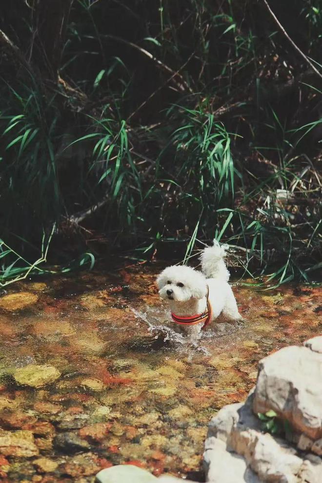 给生活一点盼头北京monthly不无聊指南(图28)