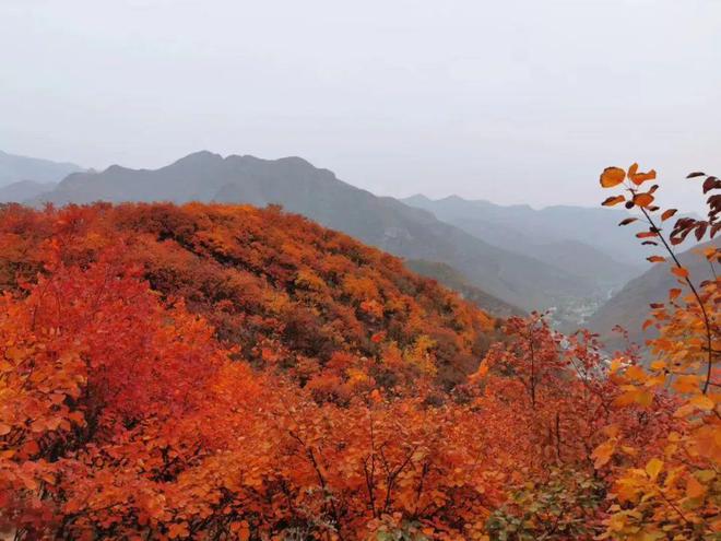 给生活一点盼头北京monthly不无聊指南(图32)