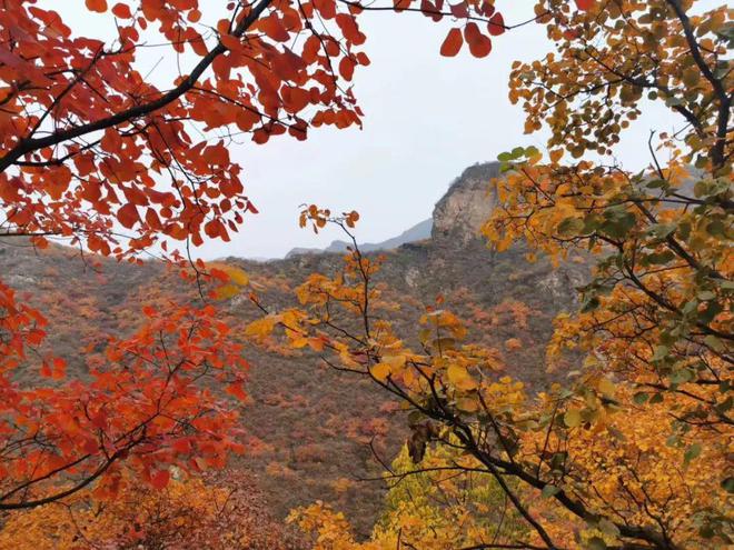 给生活一点盼头北京monthly不无聊指南(图33)