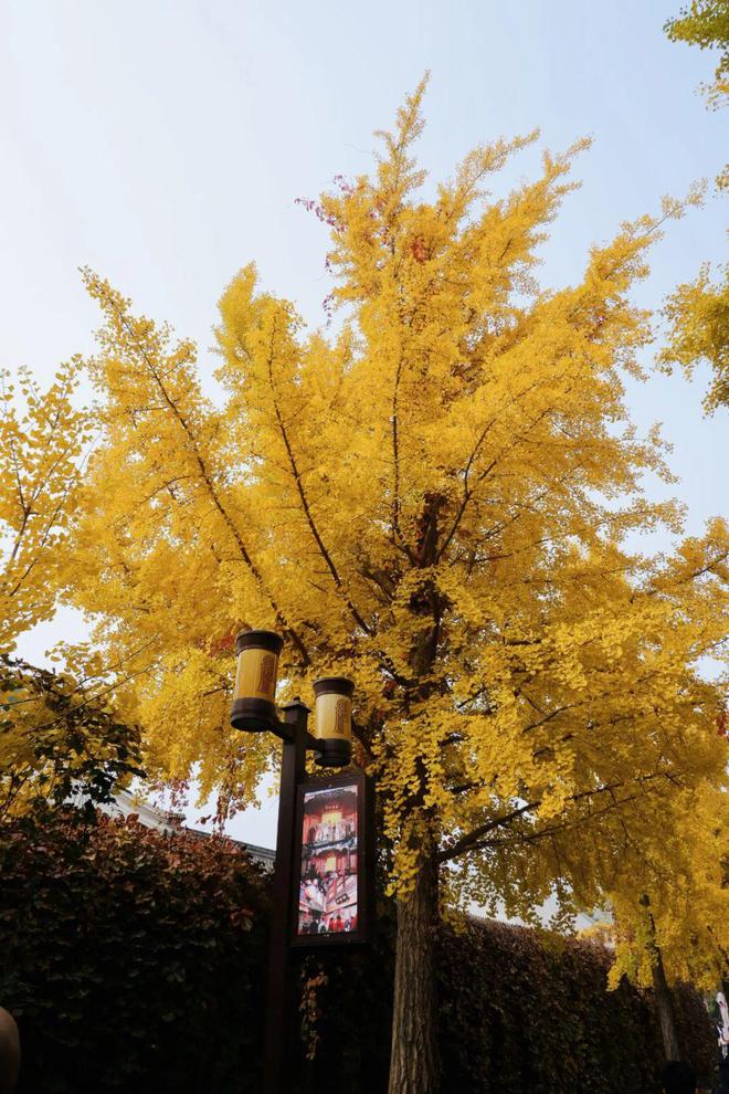 给生活一点盼头北京monthly不无聊指南(图35)