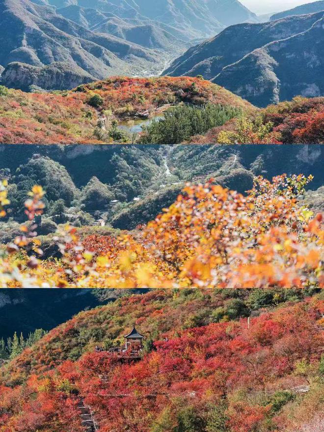 给生活一点盼头北京monthly不无聊指南(图34)
