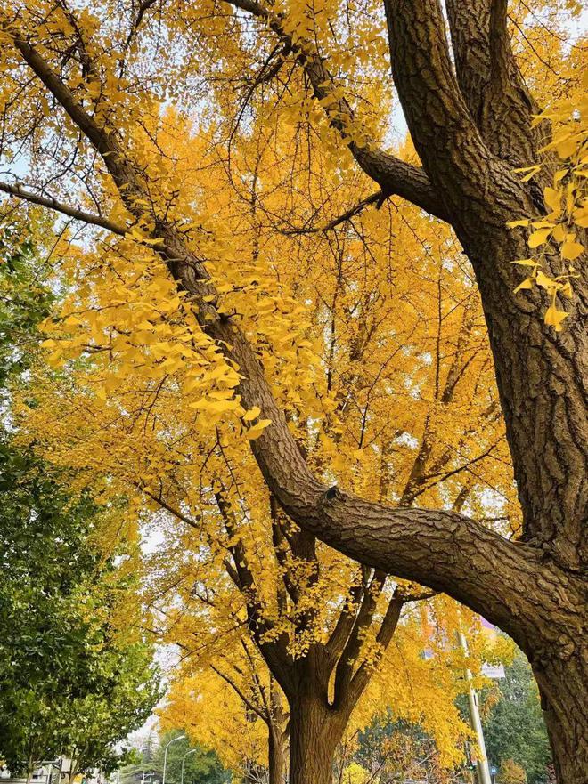 给生活一点盼头北京monthly不无聊指南(图37)