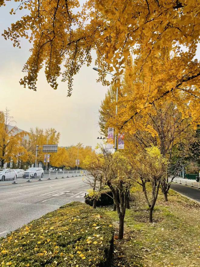 给生活一点盼头北京monthly不无聊指南(图36)