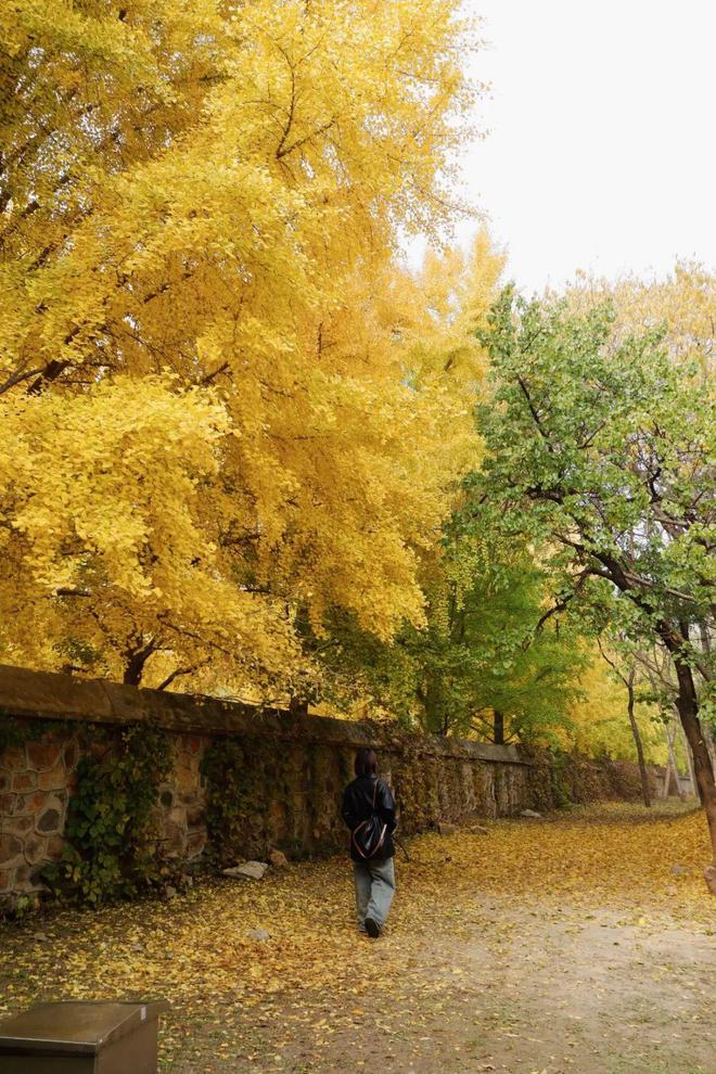 给生活一点盼头北京monthly不无聊指南(图38)