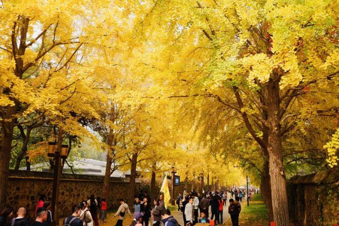 给生活一点盼头北京monthly不无聊指南(图39)