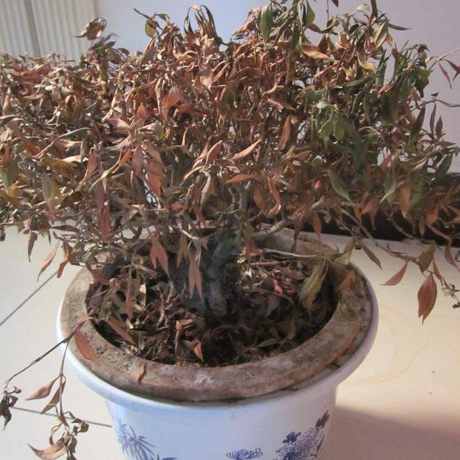 俗话说：“财不入脏屋”家里有这5种物品一定要尽早处理掉！(图4)