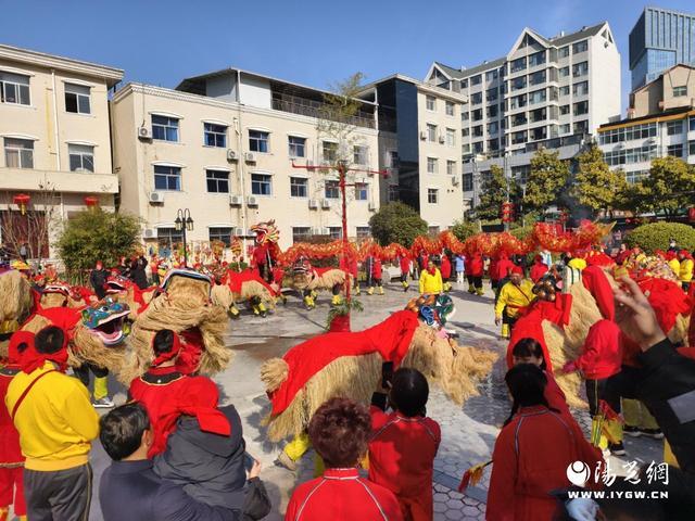 商南县举行2025年春节花灯展演活动(图6)