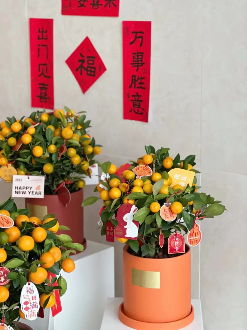 5个新年家居装饰灵感让你家变得年味十足！(图12)