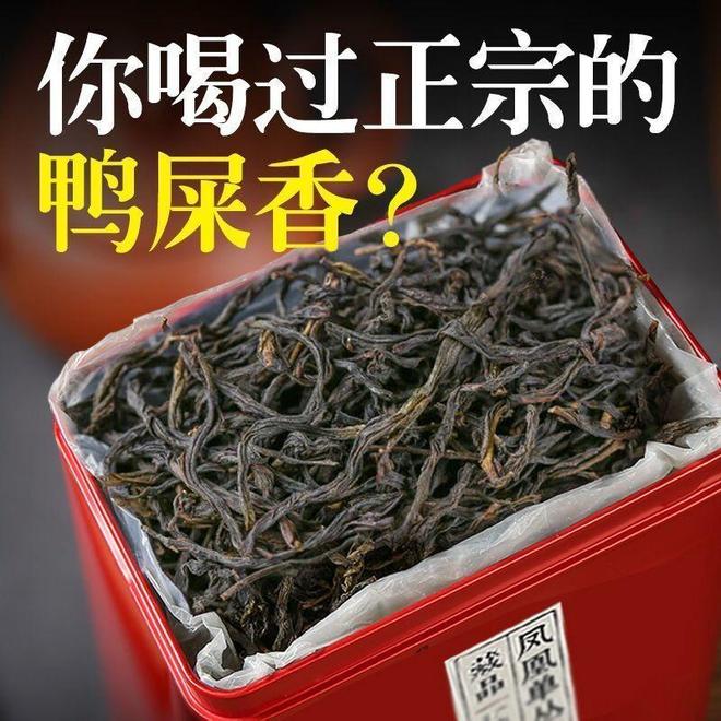 鸭屎香茶叶界的奇葩你尝过吗？(图3)