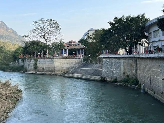 在中药三七的原产地和主产区感受境内外“心相通”“金不换”的情谊 边城见闻(图2)