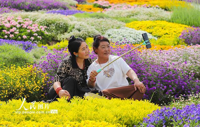四川成都：漫步花海(图2)