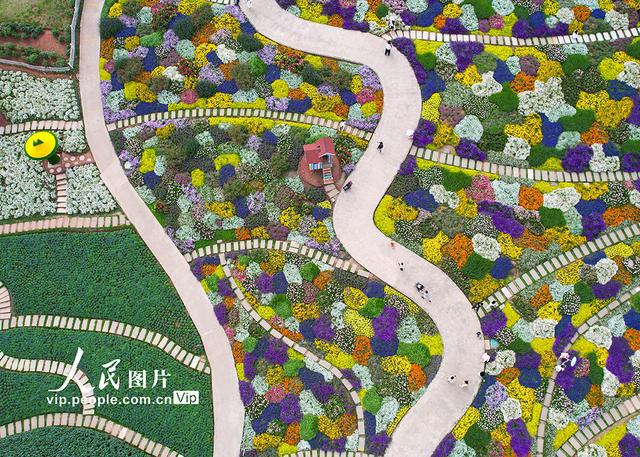 四川成都：漫步花海(图5)