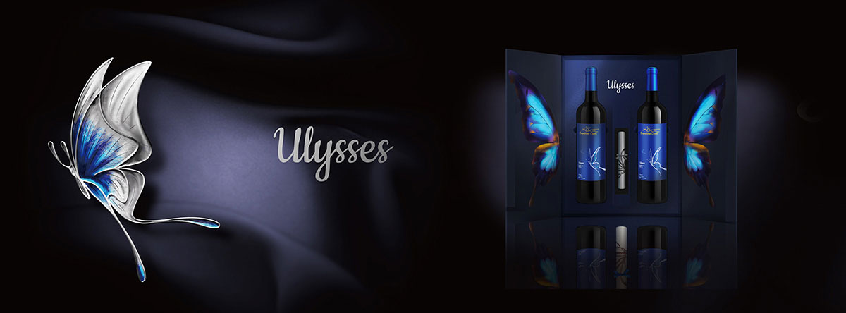 跳出传统营销套路阳光酒庄携手卓朴解锁线上营销新思路！(图5)