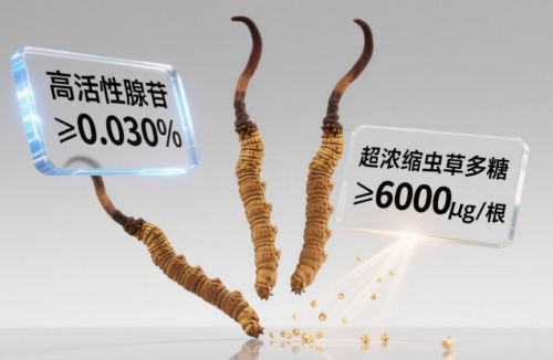 2025年哪个品牌的冬虫夏草正宗？全国权威排品牌发布国内养生达人闭眼入也放心(图4)